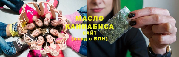 гашик Осинники