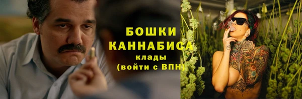 гашик Осинники