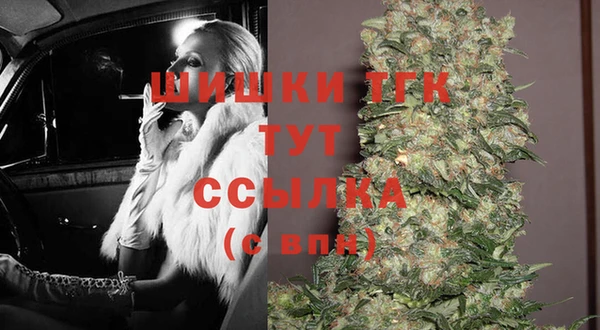 гашик Осинники