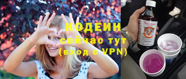 гашик Осинники