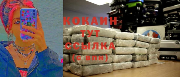 гашик Осинники